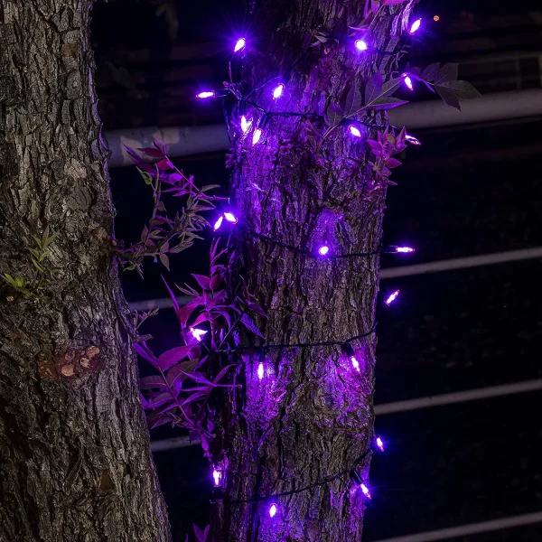 100-Count Purple Halloween LED String Lights 34ft 7 100-Count Purple Halloween LED String Lights 34ft - Image 5