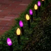 10pcs Halloween Orange & Purple Pathway Lights 19ft -Spirit Halloween Shop 10Pcs C9 Incandescent Green Wire Pathway Lights Orange amp Purple 1 result 600x600 1