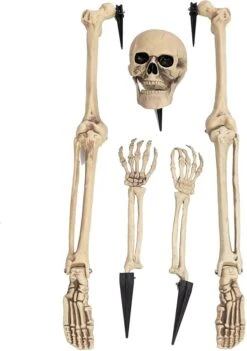 5Pcs Lighted Skeleton Groundbreaker Yard Stakes (Green Light) -Spirit Halloween Shop 12848 3 600x853 1