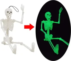 2Pcs Glow In The Dark Skeleton Halloween Decoration -Spirit Halloween Shop 2 Pcs Glow In The Dark Skeleton 5 600x513 1