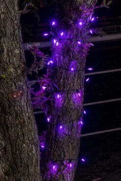 Battery Operated 50 Counts Purple LED String Lights 17.3ft -Spirit Halloween Shop 31138 4 600x899 1