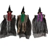 3pcs Hanging Witch Halloween Decorations 22in -Spirit Halloween Shop 3Pcs Hanging Witch with Posable Arms 22in 2 结果 scaled 600x600 1