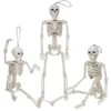 3pcs Hanging Full Body Skeletons Decoration 16in 2 3pcs Hanging Full Body Skeletons Decoration 16in -Spirit Halloween Shop 3pcs Hanging Full Body Skeletons Decoration 16in result 600x600 1