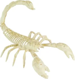 4Pcs Light Up Halloween Spider & Scorpion Skeleton 11 4Pcs Light Up Halloween Spider & Scorpion Skeleton -Spirit Halloween Shop 4Pcs Light Up Halloween Spider amp Scorpion Skeleton 4 result 600x635 1