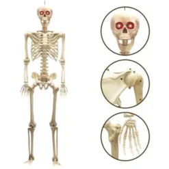 Posable Life Size Skeleton With Red Light Eyes 60in -Spirit Halloween Shop 60 Life Size Skeleton 2 result 600x600 1
