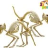 2pcs Halloween Cat Skeleton With Tail 1 2pcs Halloween Cat Skeleton With Tail -Spirit Halloween Shop 71T84Qq1KKL. AC SL1500 600x512 1