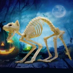 2pcs Halloween Cat Skeleton With Tail -Spirit Halloween Shop 81TXkTuqNBL. AC SL1500 600x600 1
