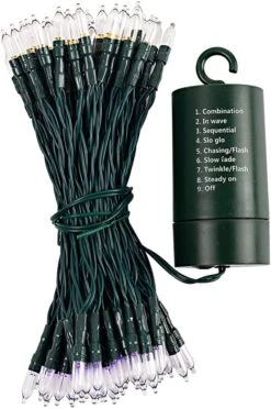 100 Orange & Purple LED Green Wire String Lights(8 Modes, 6 Hr Timer) -Spirit Halloween Shop 81x9pFaYWxL. AC SL1500 600x904 1