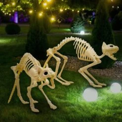 2pcs Halloween Cat Skeleton With Tail -Spirit Halloween Shop 91rXLRArPiL. AC SL1500 600x600 1