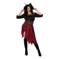 Adult Women Queen Pirate Costume