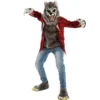 Kids Blue Halloween Costume Werewolf -Spirit Halloween Shop Boy Terror ragged werewolf costume 2 600x600 1