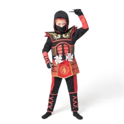 Child Boy Scarlet Ninja Costume -Spirit Halloween Shop Child Boy Scarlet Ninja Costume 4 result 600x600 1