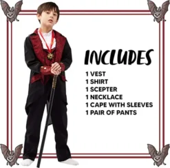 Kids Vampire Halloween Costume -Spirit Halloween Shop Child Boy Vampire costume black 1 600x592 1