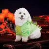Dinosaur Hoodie Halloween Pet Costumes -Spirit Halloween Shop Dinosaur Pet Costume 5 600x600 1