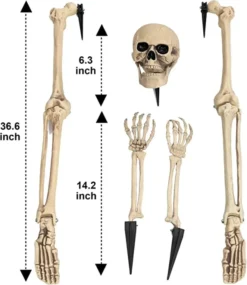 Light Up Skeleton Groundbreaker Halloween Decoration -Spirit Halloween Shop Groundbreaker Stakes with Lights 5 Pcs 1 600x692 1