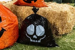 6Pcs Halloween Plastic Lawn Leaf Bags -Spirit Halloween Shop Halloween Plastic Lawn Leaf Bags 6 Pcs 2 600x400 1