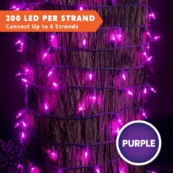 200-Count LED Purple Halloween String Lights 65.2ft 9 200-Count LED Purple Halloween String Lights 65.2ft -Spirit Halloween Shop Halloween String Lights 75.7ft 3 result 600x600 1