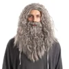 Mens Halloween Wizard Grey Wig With Beard -Spirit Halloween Shop Men Grey Wizard Wig with Beard Adult 1 结果 600x600 1