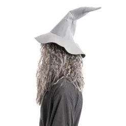 Mens Halloween Wizard Grey Wig With Beard -Spirit Halloween Shop Men Grey Wizard Wig with Beard Adult 2 结果 600x600 1