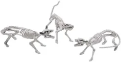 3pcs Posable Plastic Rat Skeleton Decoration 14in -Spirit Halloween Shop Pose N Stay Rat Skeleton 7 600x309 1