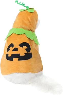 Pumpkin Halloween Costume For Cats And Dogs -Spirit Halloween Shop Pumpkin Pet Costume 2