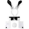 5pcs Bunny Costume Accessories -Spirit Halloween Shop Sexy Bunny Accessories 5 600x600 1