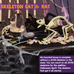 Skeleton Cat & Rat Set -Spirit Halloween Shop Skeleton Cat Rat Set 3 result 600x600 1