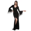 Womens Black Witch Dress Halloween Costume